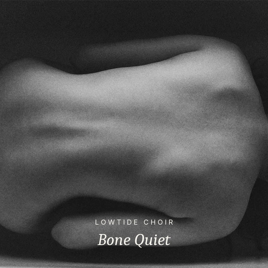 Cover idea, Bone Quiet
