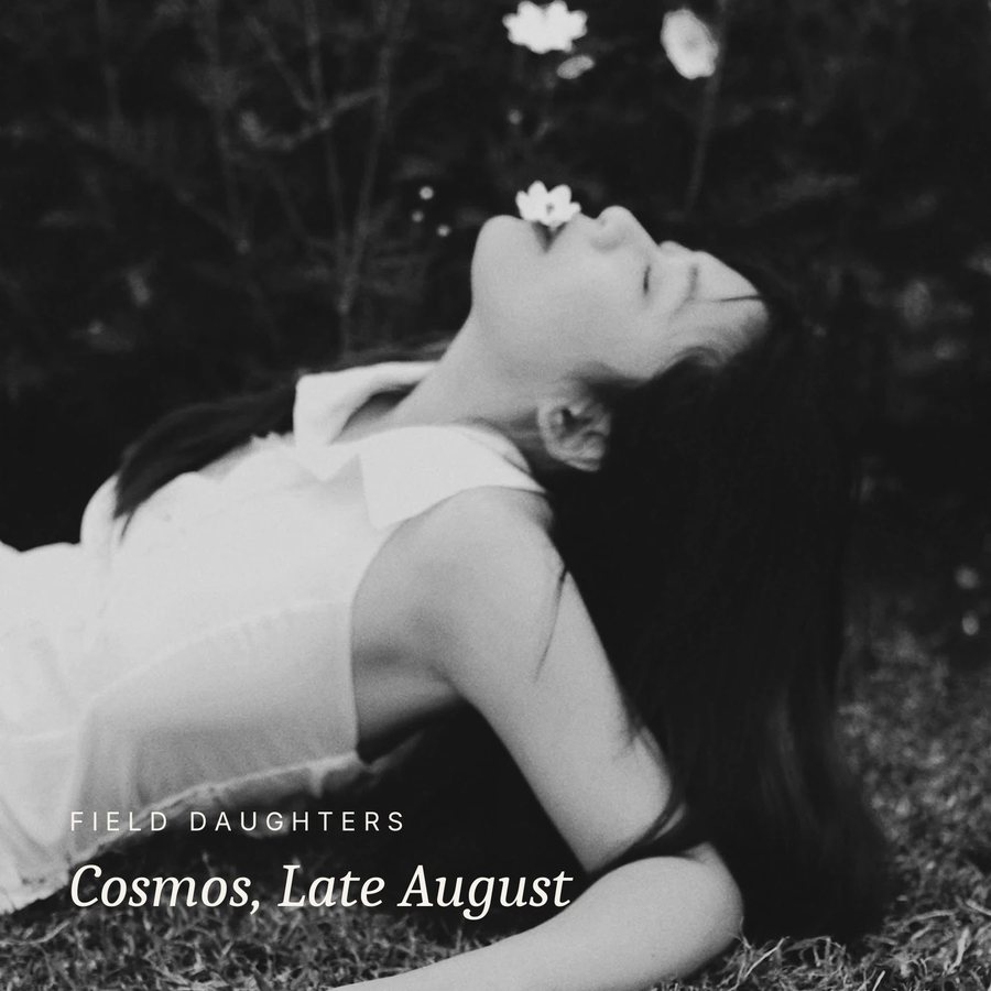 Cover idea, Cosmos, Late August