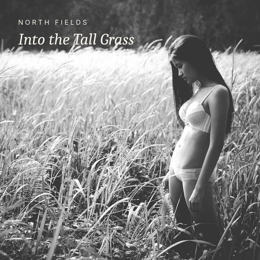 Cover idea, Into the Tall Grass