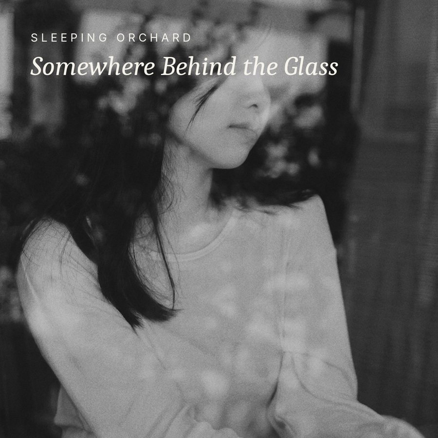 Cover idea, Somewhere Behind the Glass
